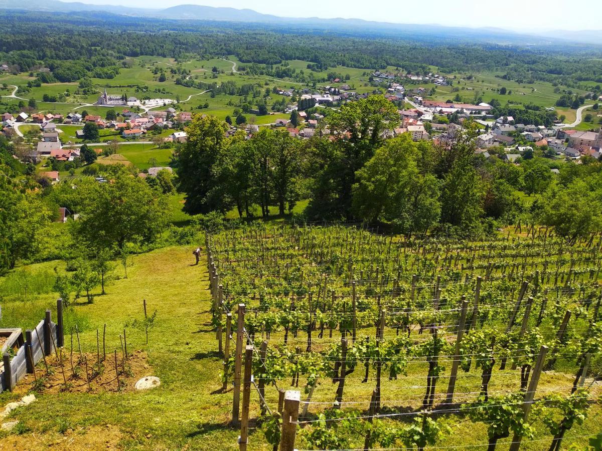 Zidanica-Vineyard Cottage Jakse Semic Екстериор снимка